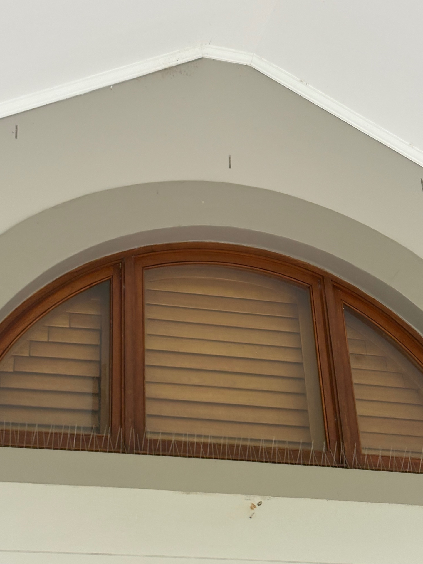 Arched timber window with interior shutters